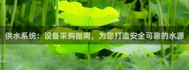 球友会比赛结果查询网站