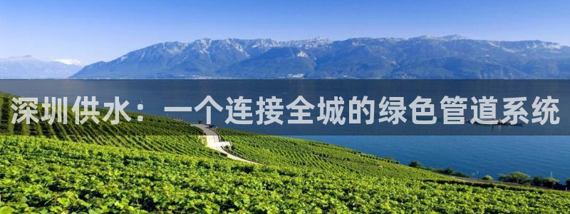 球友会官网登录入口在哪