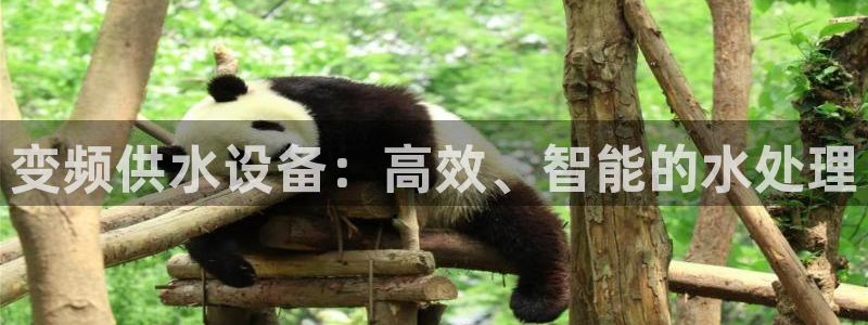 球友会官网登录入口在哪