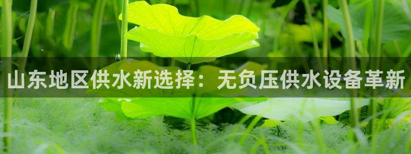 球友会比赛结果查询系统