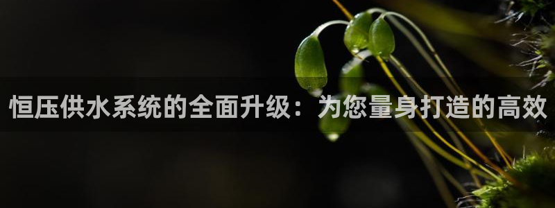 球友会app干啥的呀