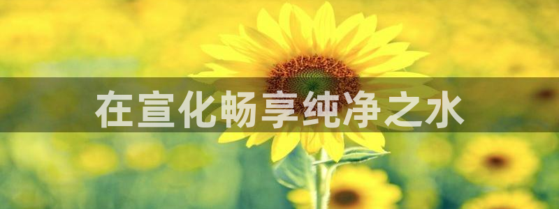 qy球友会体育官方平台