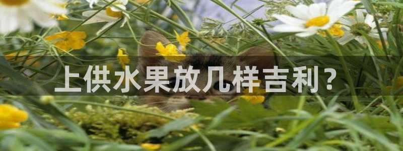 球友会骂客服封号