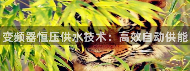 球友会官网登录入口