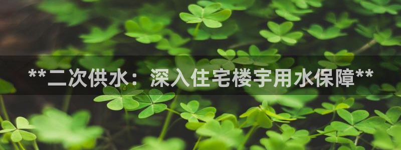 球友会体育app下载官网安卓