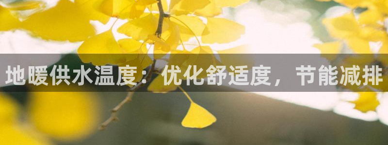 球友会比赛结果查询