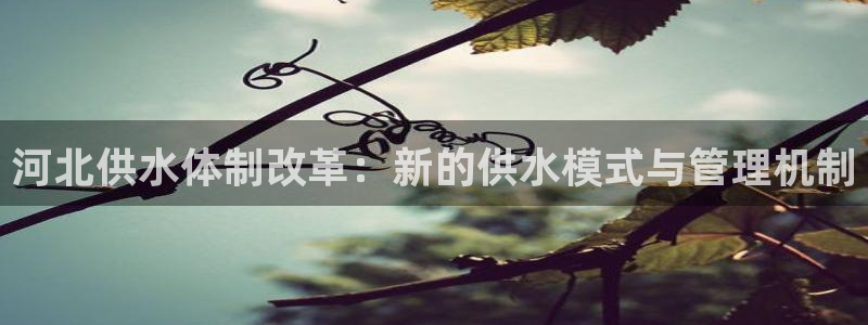 qy球友会体育官网下载