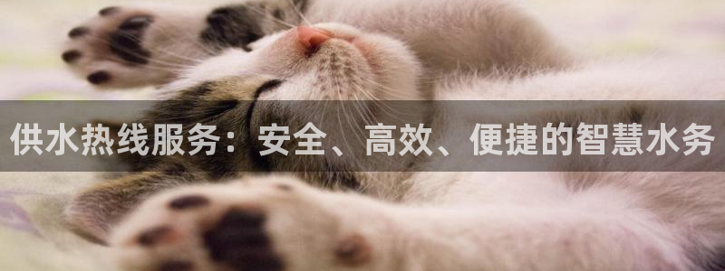 球友会app安全吗可靠吗是真的吗