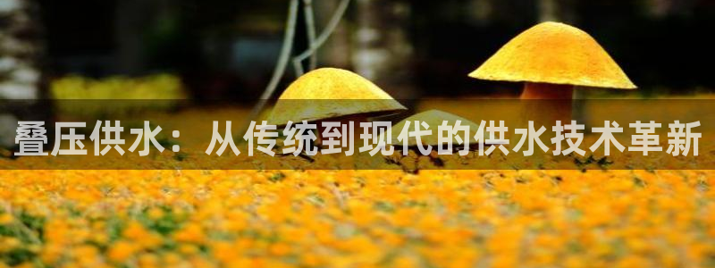 球友会app官网下载安卓