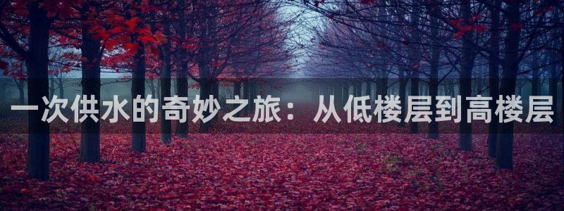 QY球友会体育官网