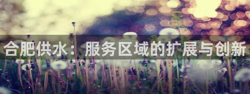 球友会曼联赛事