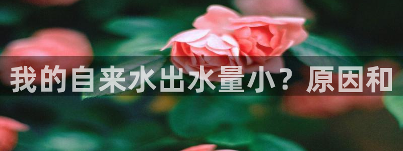 球友会提现不到账