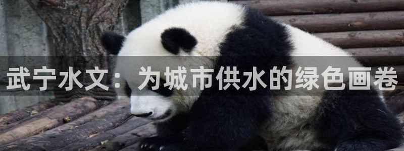 球友会是不是大平台