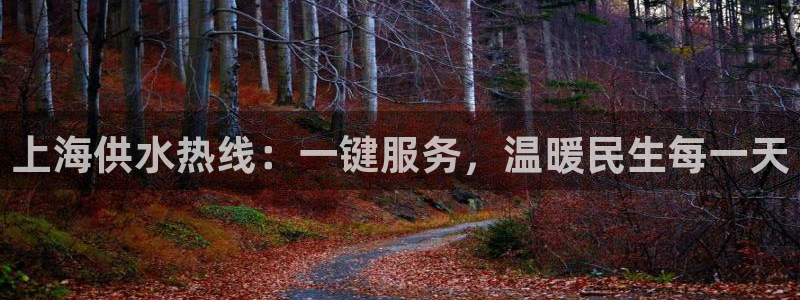 球友会提现